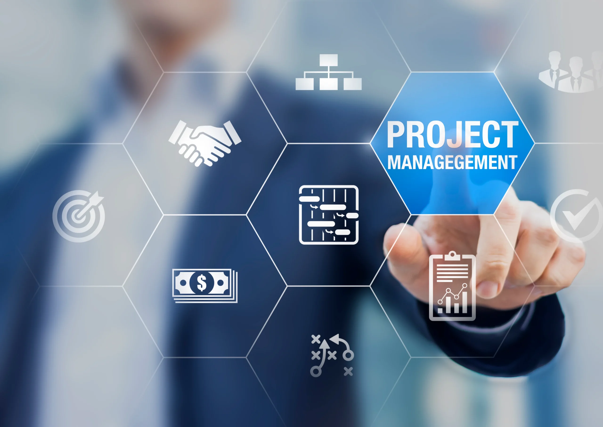 Project and program management delivery